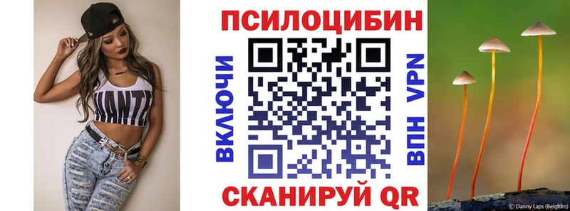 купить Сорск Галлюциногенные грибы Psilocybe
